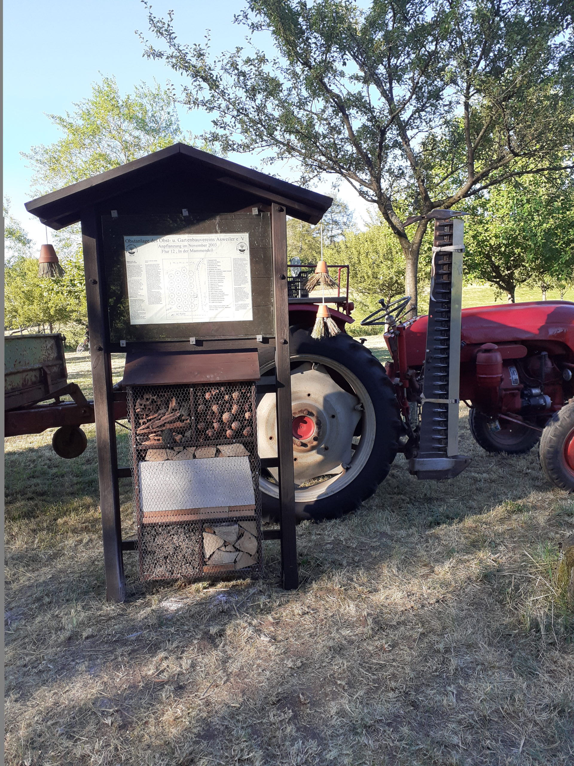 Arbeitseinsatz in der Streuobstwiese