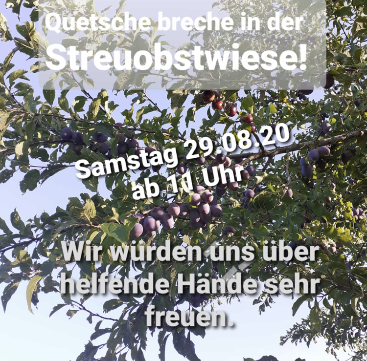 29.08.2020